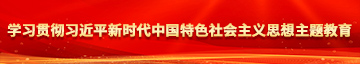 人妖高潮汇编学习贯彻习近平新时代中国特色社会主义思想主题教育